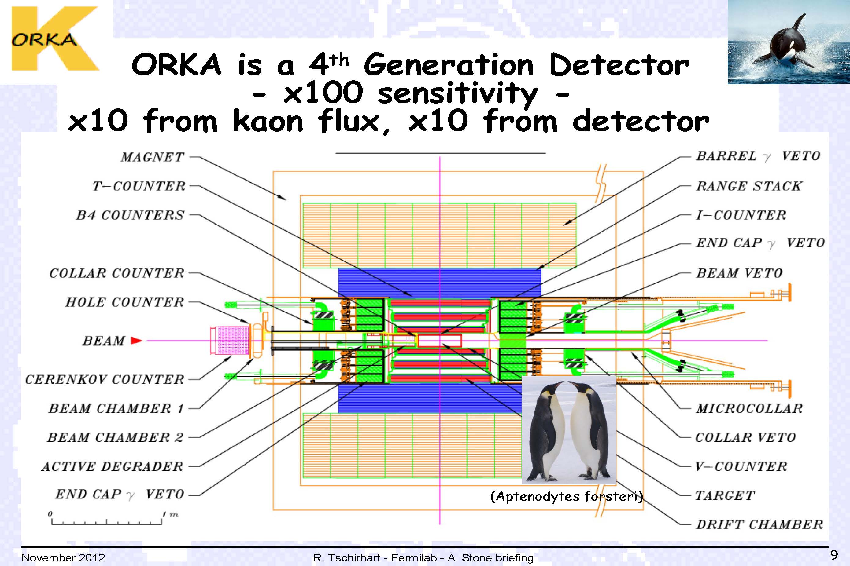 ORKA detector